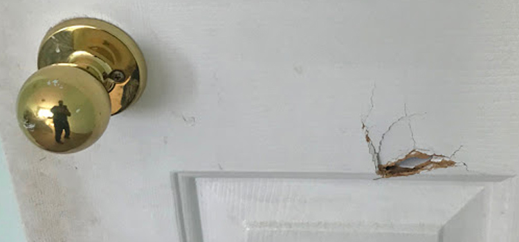 interior door hole repair Florence-Graham