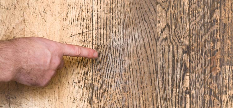 Wood Door Scratch Repair in Florence-Graham